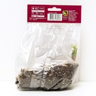 Лилии ЛО-Гибриды «Принц Промис», 14/16 р-р, 2 шт. 130 h(см), Осень 2025  (артикул 9246238)  большой выбор товаров оптом и в розницу по низким ценам с доставкой