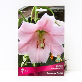 Лилии Лонгифлорум «Элегант Леди», 14/16 р-р, 2 шт. 80 h(см), Осень 2025  (артикул 9246247)  большой выбор товаров оптом и в розницу по низким ценам с доставкой