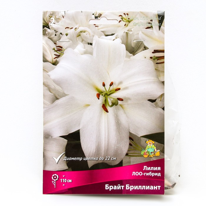 Новинки для сада, перед которыми не смог устоять. 12 растений для нового сезона