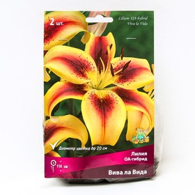 Лилии ОА-Гибриды «Вива ла Вида», 14/16 р-р, 2 шт. 110 h(см), Осень 2024  (артикул 9246251)  большой выбор товаров оптом и в розницу по низким ценам с доставкой