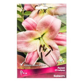 Лилии ОТ-Гибриды «Бейвотч», 14/16 р-р, 2 шт. 95 h(см), Осень 2022  (артикул 9246264)  большой выбор товаров оптом и в розницу по низким ценам с доставкой