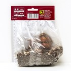 Лилии ОТ-Гибриды «Вилла Бланка», 14/16 р-р, 2 шт. 100-110 h(см), Осень 2022 - Фото 2