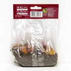 Лилии ОТ-Гибриды «Джудит Саффинья», 14/16 р-р, 2 шт. 120 h(см), Осень 2024  (артикул 9246273)  большой выбор товаров оптом и в розницу по низким ценам с доставкой