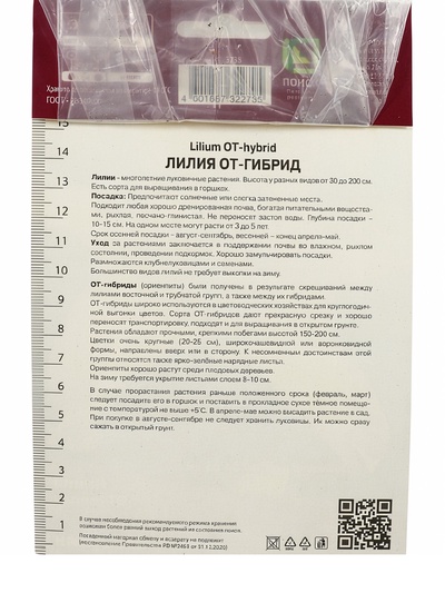 Лилии ОТ-Гибриды «Йеллоувин», 14/16 р-р, 2 шт. 120 h(см), Осень 2024