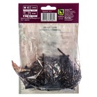 Лилии ОТ-Гибриды «Импрато», 14/16 р-р, 2 шт. 130 h(см), Осень 2022  (артикул 9246279)  большой выбор товаров оптом и в розницу по низким ценам с доставкой