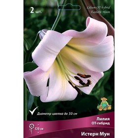 Лилии ОТ-Гибриды Истерн Мун, 14/16 р-р, 2 шт. 120 h(см), Осень 2024