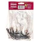 Лилии ОТ-Гибриды «Мисс Фея», 14/16 р-р, 2 шт. 110 h(см), Осень 2025 - Фото 2