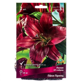 Лилии ОТ-Гибриды «Пёпл Принц», 14/16 р-р, 2 шт. 120 h(см), Осень 2025  (артикул 9246302)  большой выбор товаров оптом и в розницу по низким ценам с доставкой