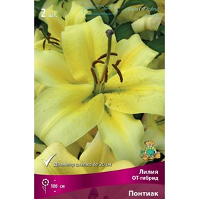 Лилии ОТ-Гибриды «Понтиак», 14/16 р-р, 2 шт. 100 h(см), Осень 2022  (артикул 9246303)  большой выбор товаров оптом и в розницу по низким ценам с доставкой