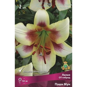 Лилии ОТ-Гибриды Пэшн Мун, 14/16 р-р, 2 шт. 130 h(см), Осень 2024  (артикул 9246305)  большой выбор товаров оптом и в розницу по низким ценам с доставкой