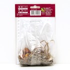 Лилии ОТ-Гибриды «Ред Дач», 14/16 р-р, 2 шт. 100 h(см), Осень 2025  (артикул 9246306)  большой выбор товаров оптом и в розницу по низким ценам с доставкой