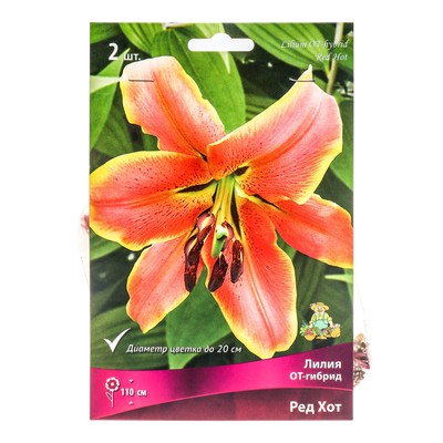 Лилии ОТ-Гибриды «Ред Хот», 14/16 р-р, 2 шт. 110 h(см), Осень 2025