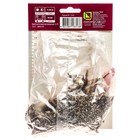 Лилии ОТ-Гибриды «Ред Хот», 14/16 р-р, 2 шт. 110 h(см), Осень 2025  (артикул 9246307)  большой выбор товаров оптом и в розницу по низким ценам с доставкой