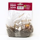 Лилии Трубчатые «Африкан Квин», 14/16 р-р, 2 шт. 120 h(см), Осень 2025  (артикул 9246324)  большой выбор товаров оптом и в розницу по низким ценам с доставкой