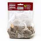 Лилии Трубчатые «Вайт Планет», 14/16 р-р, 2 шт. 120 h(см), Осень 2024  (артикул 9246325)  большой выбор товаров оптом и в розницу по низким ценам с доставкой