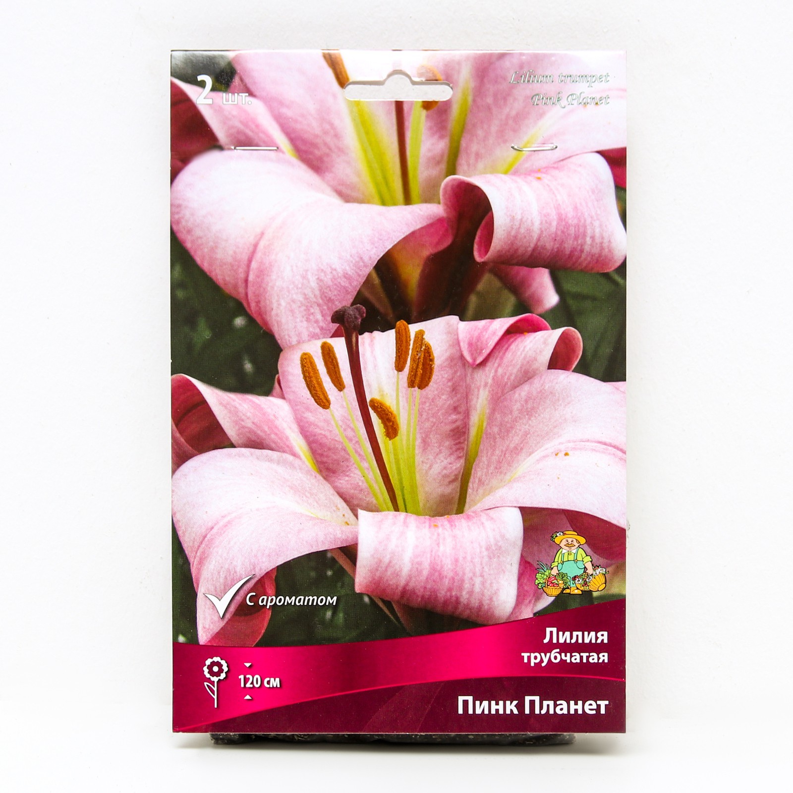 Лилии пинк планет: найдено 86 изображений