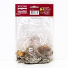 Лилии Трубчатые «Ригейл Альбум», 14/16 р-р, 2 шт. 80 h(см), Осень 2025 - Фото 2