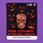 УЦЕНКА Шоколад череп на подложке «Ночь страшна», 14 г. - Фото 1