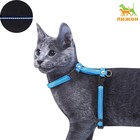 Шлейка для кошек, ширина 1 см, светоотражающий, ОШ 16.5-27 см, ОГ 21-35 см, синий - Фото 1