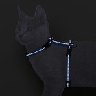 Шлейка для кошек, ширина 1 см, светоотражающий, ОШ 16,5-27 см, ОГ 21-35 см, синий - Фото 2