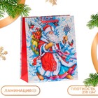 Пакет подарочный новогодний ламинированный «Дедушка Мороз», 18×22.3×10 см - Фото 1