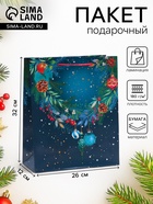 Пакет подарочный новогодний ламинированный «Ночное небо с венком», 26×32×12 см - Фото 1
