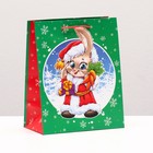 Пакет подарочный "Зайчик Дед Мороз" , 18 х 22,3 х 10 см - фото 321358309
