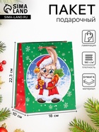 Пакет подарочный новогодний ламинированный «Зайчик Дед Мороз», 18×22.3×10 см - Фото 1