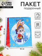 Пакет подарочный новогодний ламинированный «Зайка снегурочка», 18×22.3×10 см - Фото 1