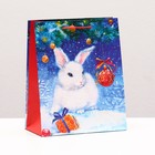 Пакет подарочный "Зайчонок в снегу" , 18 х 22,3 х 10 см - фото 321358321