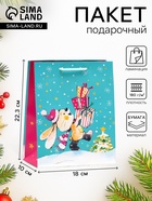 Пакет подарочный новогодний ламинированный «Зайчик с подарком другу», 18×22.3×10 см - Фото 1