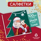 Салфетки бумажные однослойные новогодние «Дед Мороз», 24 × 24 см, набор 100 шт., на новый год - фото 9936916