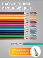 Карандаши Calligrata, цветные, 12 цветов, ЭКОНОМ, шестигранные, пластиковые, пенал-тубус и 3 чернографитных карандаша с ластиком в ПОДАРОК - Фото 3