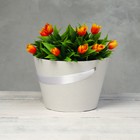 Переноска конус, подарочная под цветы, белая, 11,5 х 17 х 12 см - Фото 1