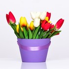 Переноска конус под цветы, фиолетовый 11,5 х 17 х 12 см - фото 319024709