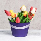 Переноска конус под цветы, фиолетовый 11,5 х 17 х 12 см - Фото 4