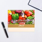 Календарь настольный, домик "Садово - Огородный" 2023 год, 20 х 14 см - Фото 3