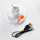 УЦЕНКА Фонарь кемпинговый аккумуляторный «Мастер К», 5 Вт, 800 мАч, на крючке - Фото 2