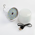 УЦЕНКА Фонарь кемпинговый аккумуляторный «Мастер К», 5 Вт, 800 мАч, на крючке - Фото 3