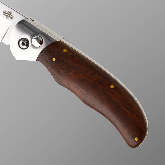 Нож складной "Бирюк" сталь 65х13, рукоять - дерево, 21 см - фото 1907514334