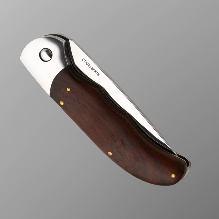 Нож складной "Бирюк" сталь 65х13, рукоять - дерево, 21 см - фото 1907514335