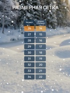 Валенки детские с резиновой подошвой, цвет чёрный, размер 26 - Фото 2