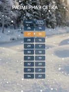 Валенки детские с резиновой подошвой, цвет чёрный, размер 27 - Фото 2