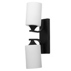 Бра 2490/2BK E27 40Вт черный 30х20 см - фото 21741846