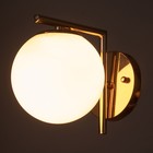 Бра 2494/1GD E27 40 Вт золото 15×18 см - фото 5033576