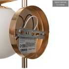 Бра 2494/1GD E27 40 Вт золото 15×18 см - фото 5033580