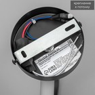 Светильник BayerLux 2514/2BK, LED 12 Вт, 4000К, 34×21 см, чёрный - фото 35191427