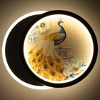 Бра «Павлин» LED 21 Вт 4000К черно-белый 19×23×5 см - Фото 3