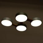 Люстра "Пиатти" 4LED 96Вт 3000-6000К синий зеленый 65х48х5 см BayerLux - Фото 5