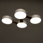 Люстра "Пиатти" 4LED 96Вт 3000-6000К белый 65х48х5 см BayerLux - Фото 3